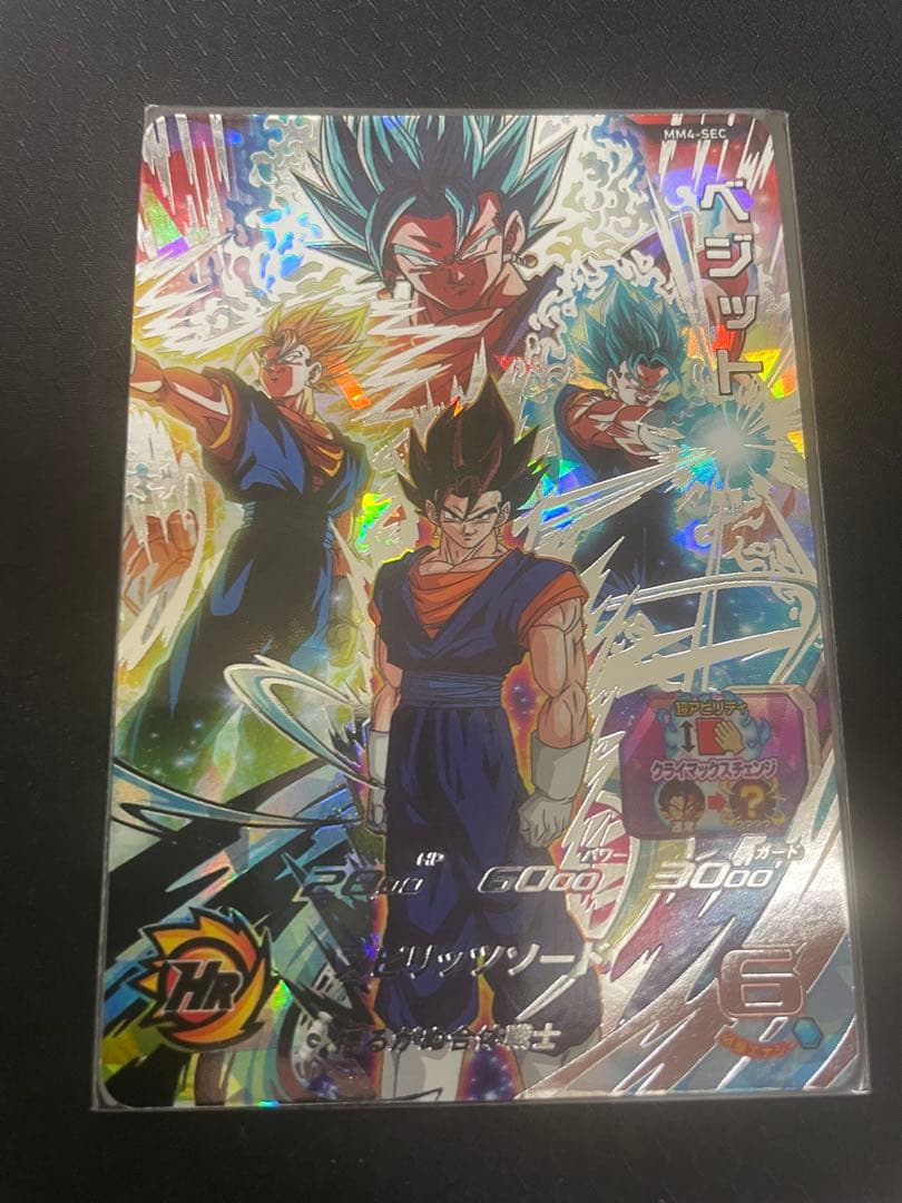 mm4-sec ベジット 1009007813476009_02_3975.jpeg