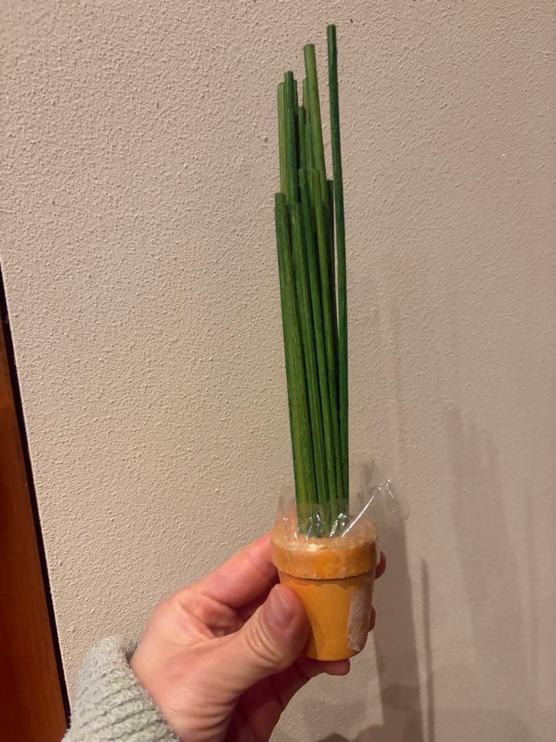 erzi エルツィ HABA ハバ 木製 ドイツ おままごと チャイブ - メルカリ