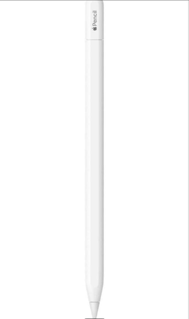 Apple Pencil 第2世代 タイプC Apple Pencil 第2世代 専用充電ケーブル 35cm 磁気充電 Type-Cコネクタ