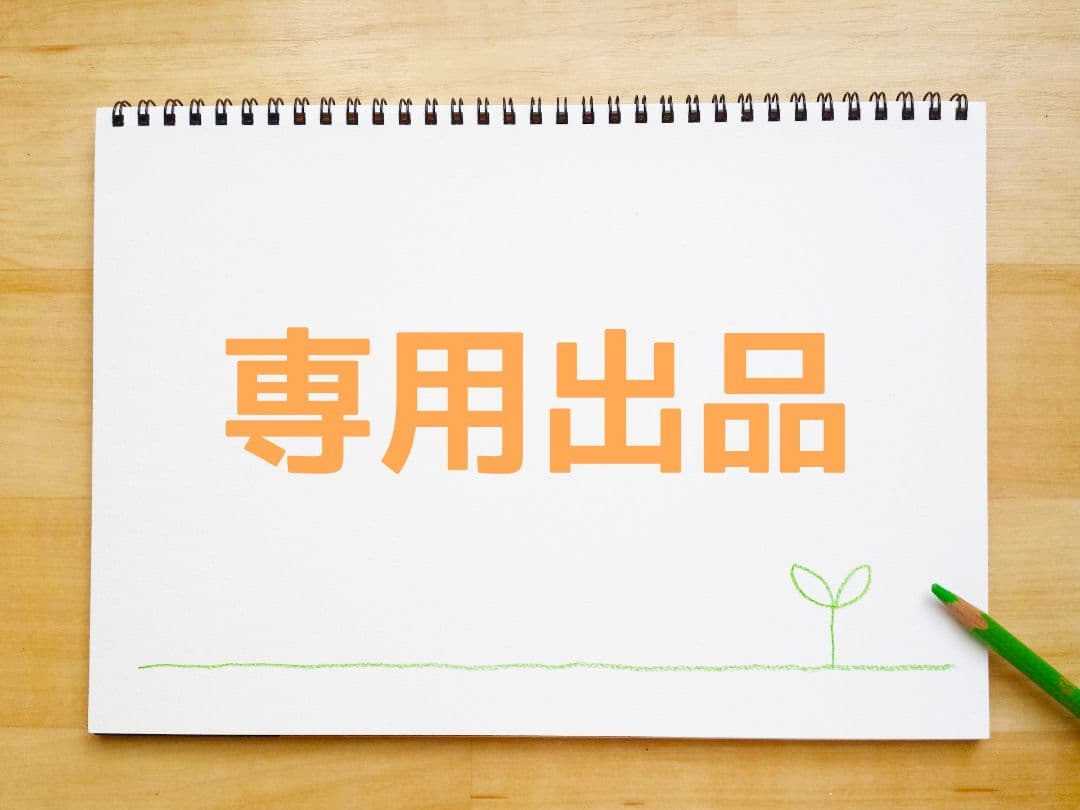 専用出品 専用出品 2024 Ninja ZX-25R 適合製品情報 | TRICK STAR 製品 | TRICK STAR