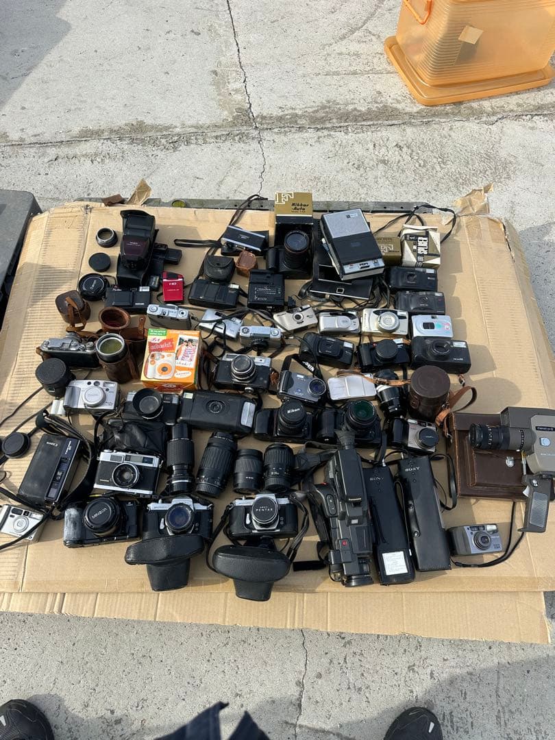 カメラまとめて　大山 NikonZ50Ⅱと50-250mmで野鳥（ヤマセミ）を撮ってみた！ » 野鳥撮影