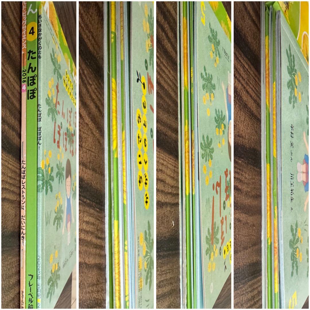 たんぽぽ ちいさなかがくのとも キンダーブックしぜん ビッグ