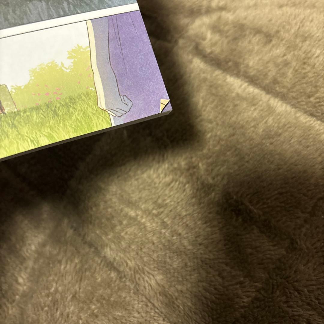 ある日お姫様になってしまった件について 全巻 1-13巻 完結 購入特典付き