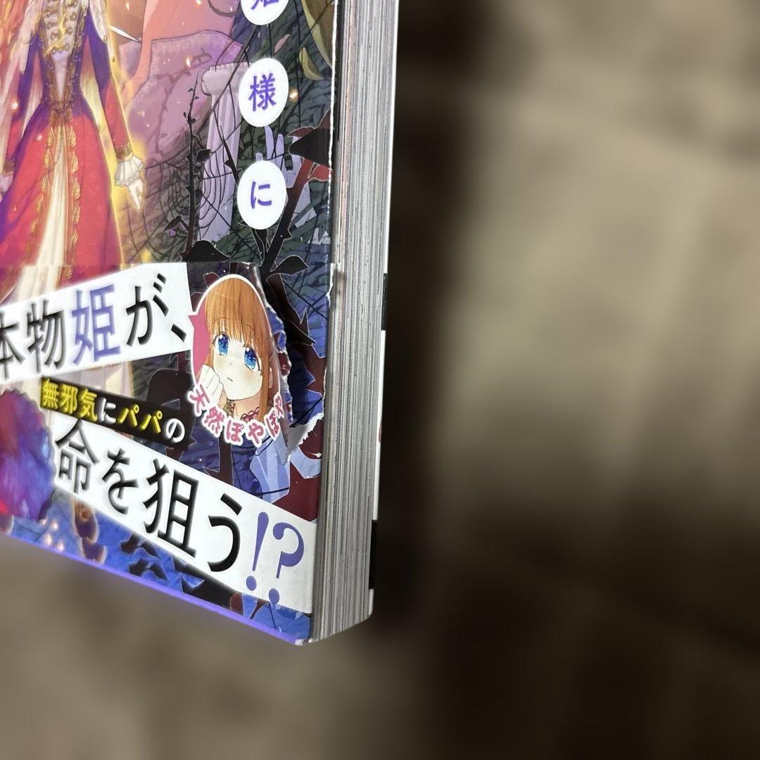 ある日お姫様になってしまった件について 全巻 1-13巻 完結 購入特典付き