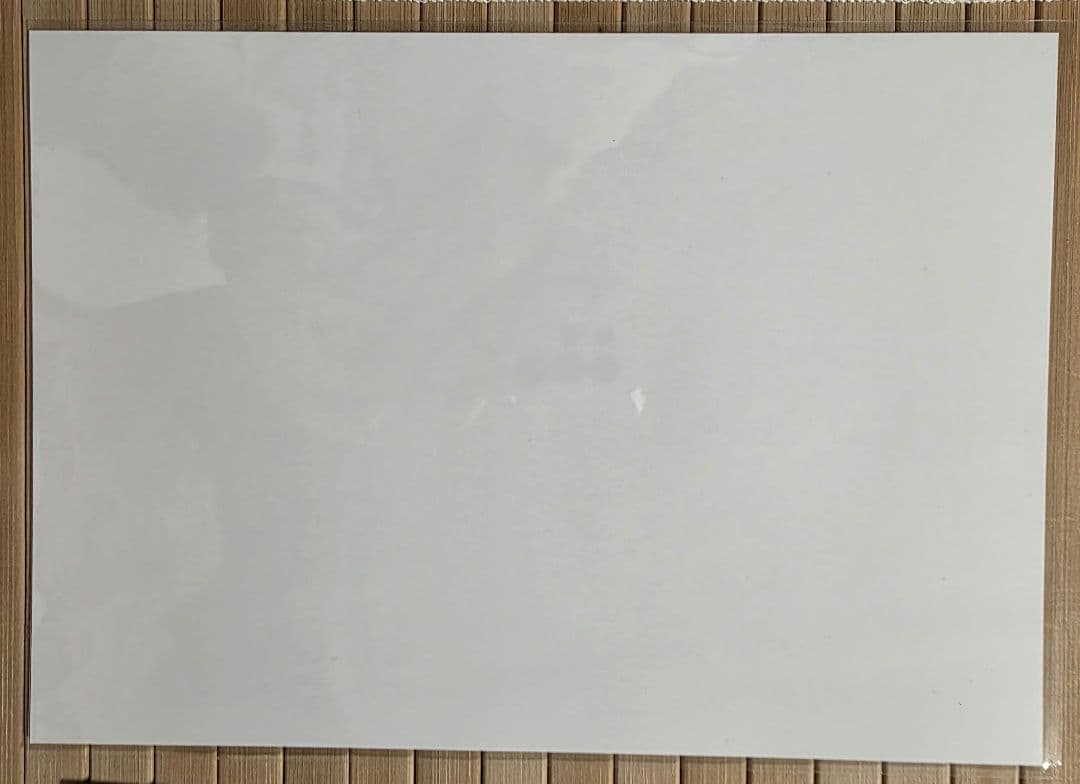 コミックアライブ 購入特典 ペーパーペンシルボード ⑤