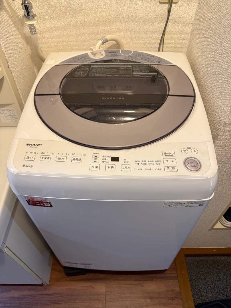 ES-GV8G-S 2023年製 SHARP（シャープ） 全自動洗濯機 ES-GV8G-S シルバー 8kg 穴なし