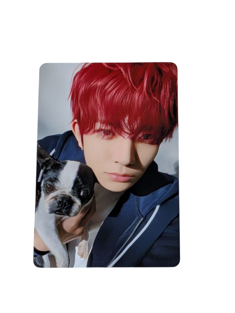 即購入️⭕️】ENHYPEN ヒスン アンケートトレカ 2025 - メルカリ