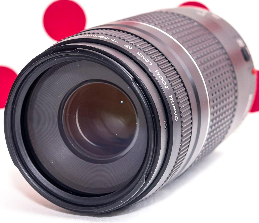 Canon純正 75-300mm 望遠レンズ a4012