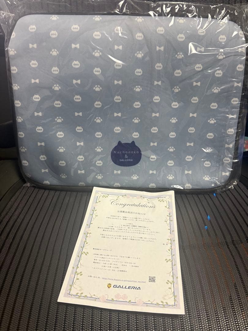 ガレリア×なちょ猫 コラボ ノートPCケース 甘城なつき Nachoneko