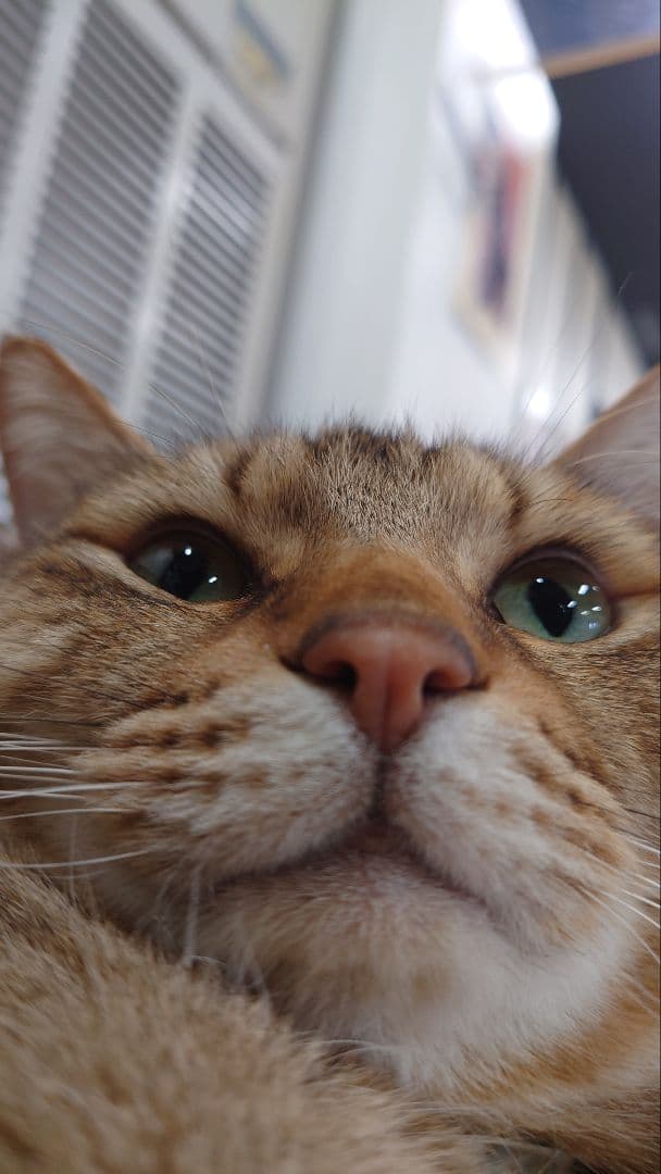 神谷さん専用です 普段の営業の仕事でも役立ちます。 神谷さんを見習おう。