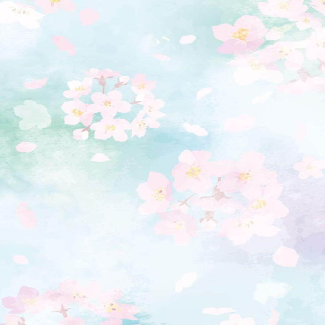 マッコイ ノン F エナジー プレミアム 650g - メルカリ