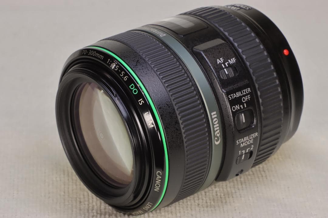 EF70-300mm F4.5-5.6 DO IS USM【高解像感・作例あり】