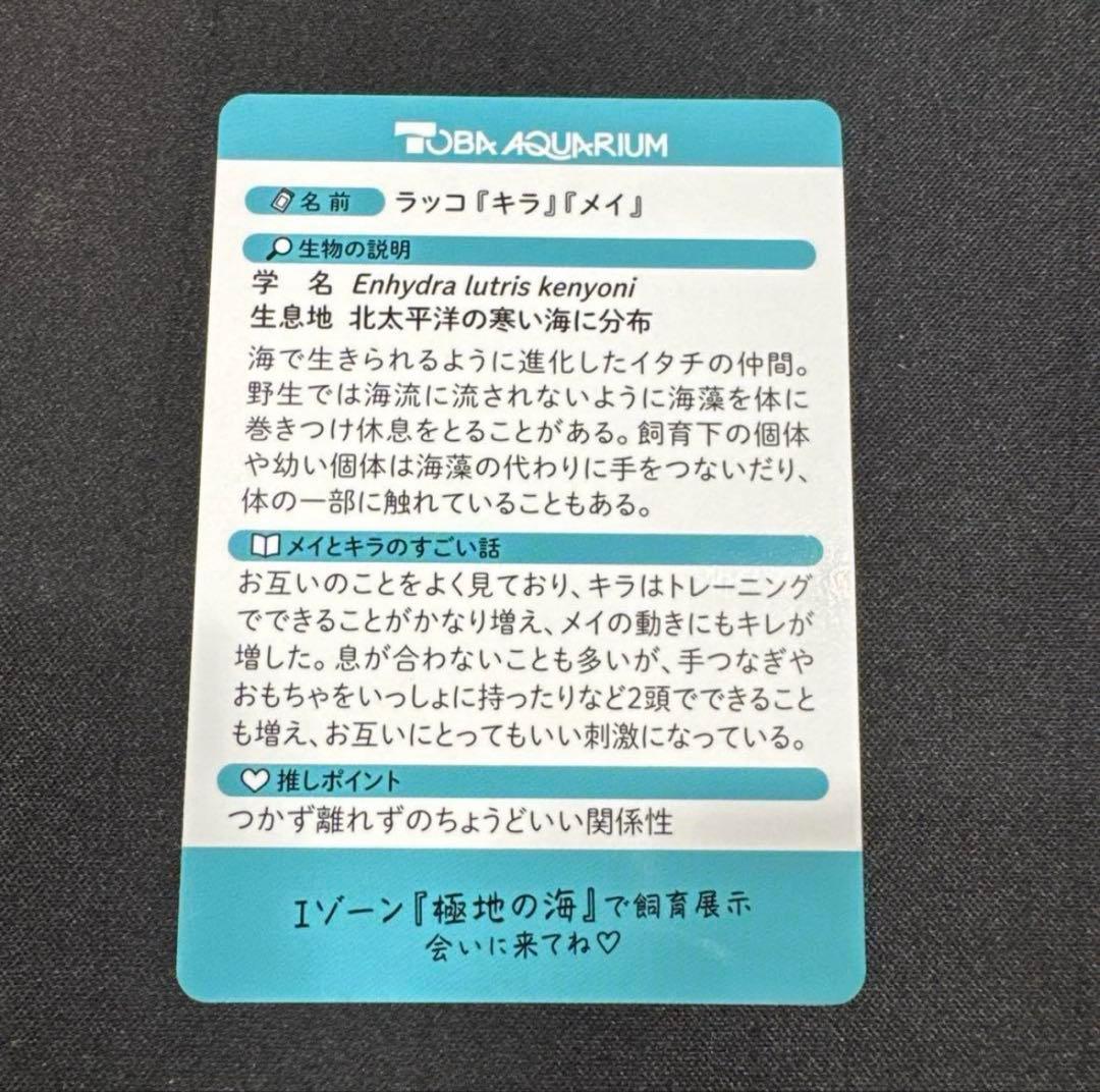 匿名配送】鳥羽水族館 70周年記念 コレクションカード レアカード メイ