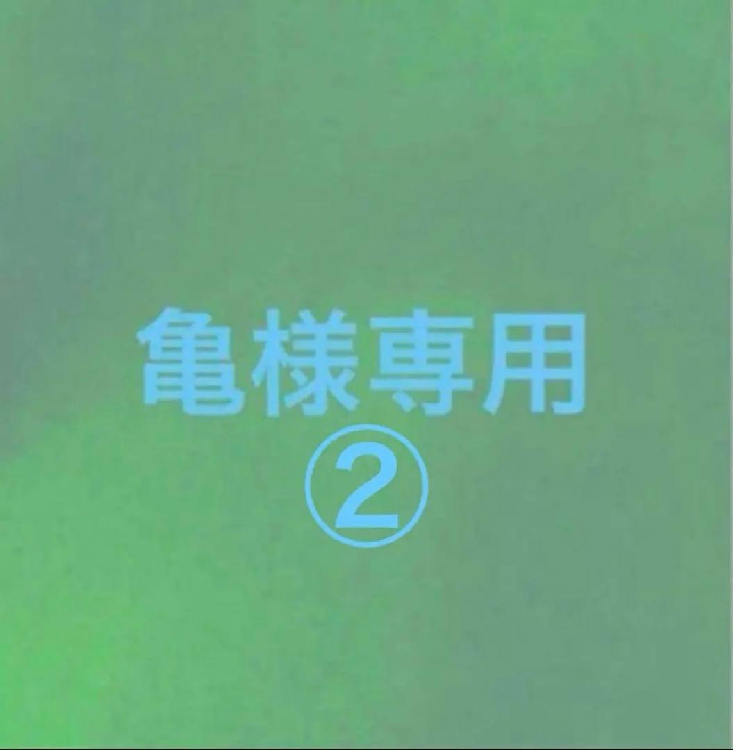 亀② カメ元気 カメの底砂 2.5kg | ジェックス株式会社