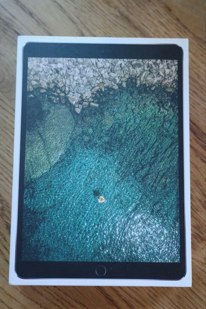 iPad本体 iPad Pro 10.5inch 256GB Wi-Fi