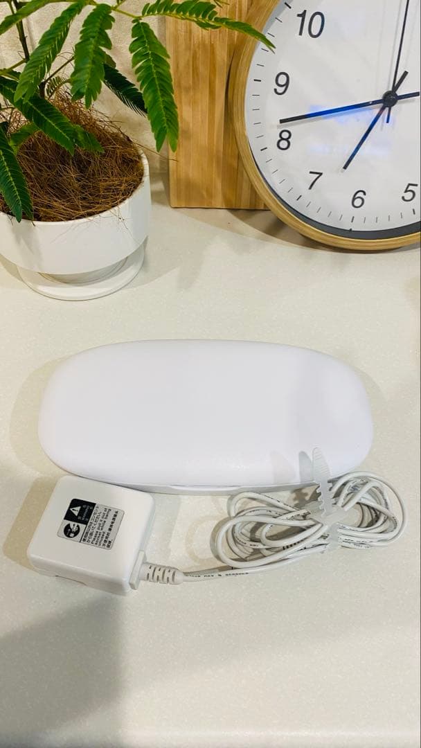 モイスティーヌ美顔器Ⅳ img_series_detail_moisteane_01.jpg