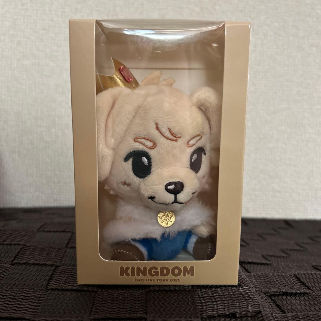 三代目 JSB KINGDOM ぬいぐるみ 岩田剛典 ロッキーくん - メルカリ
