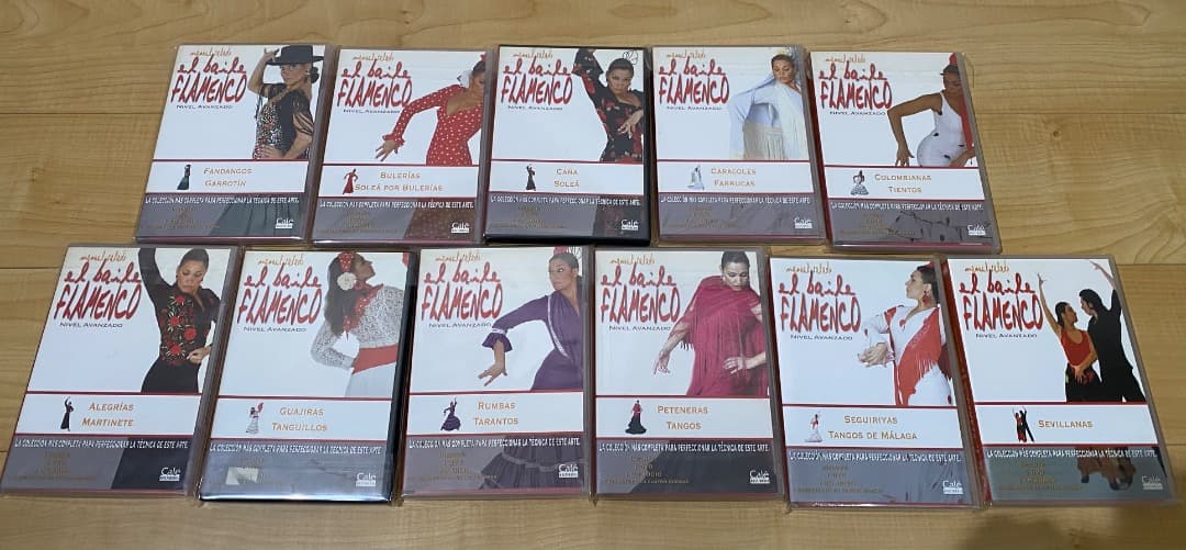 【21全巻セット】エル・バイレ・フラメンコ DVD教材 マヌエル・サラド