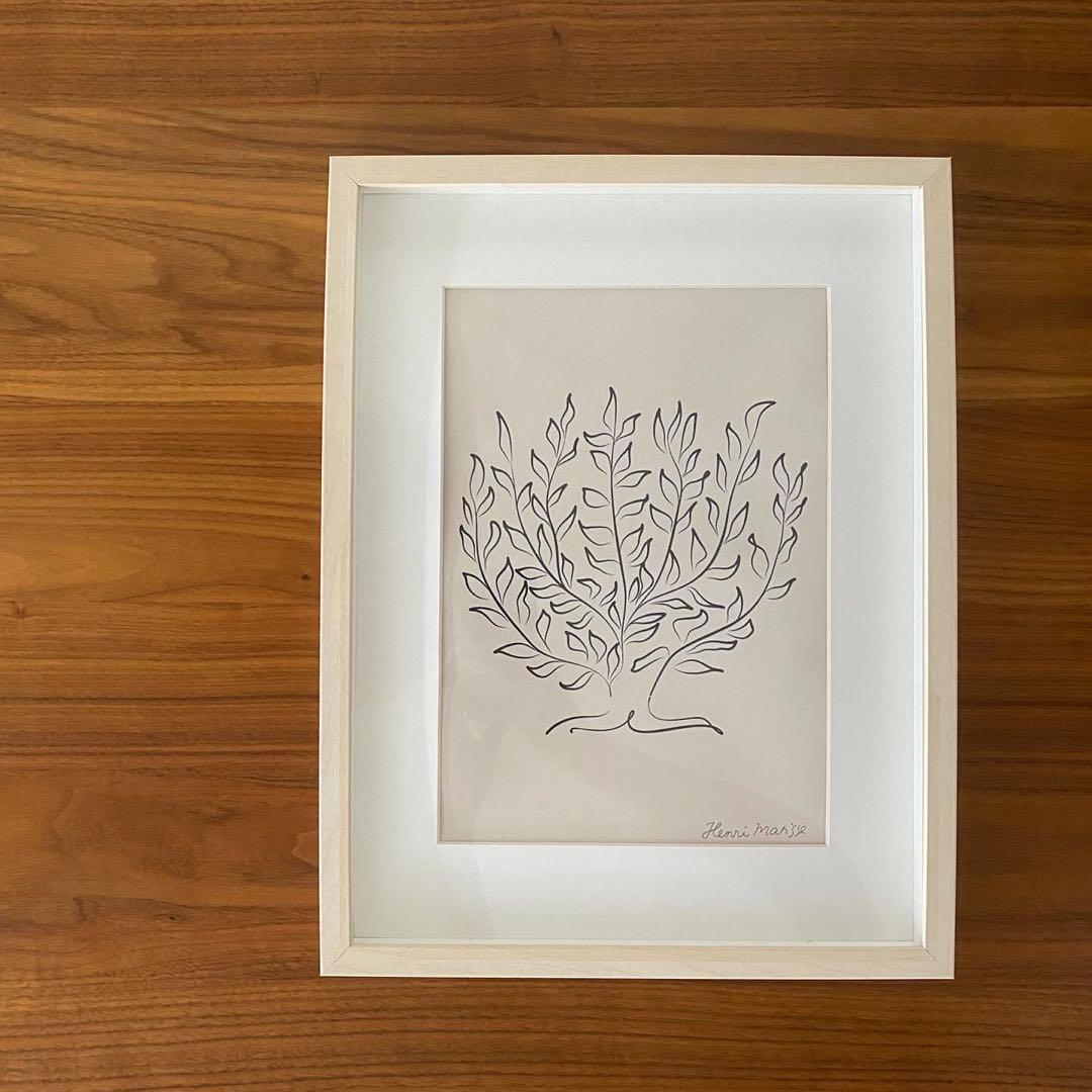 新品！アンリマティス 低木✳︎アクタス 無印 イケア コンランショップ