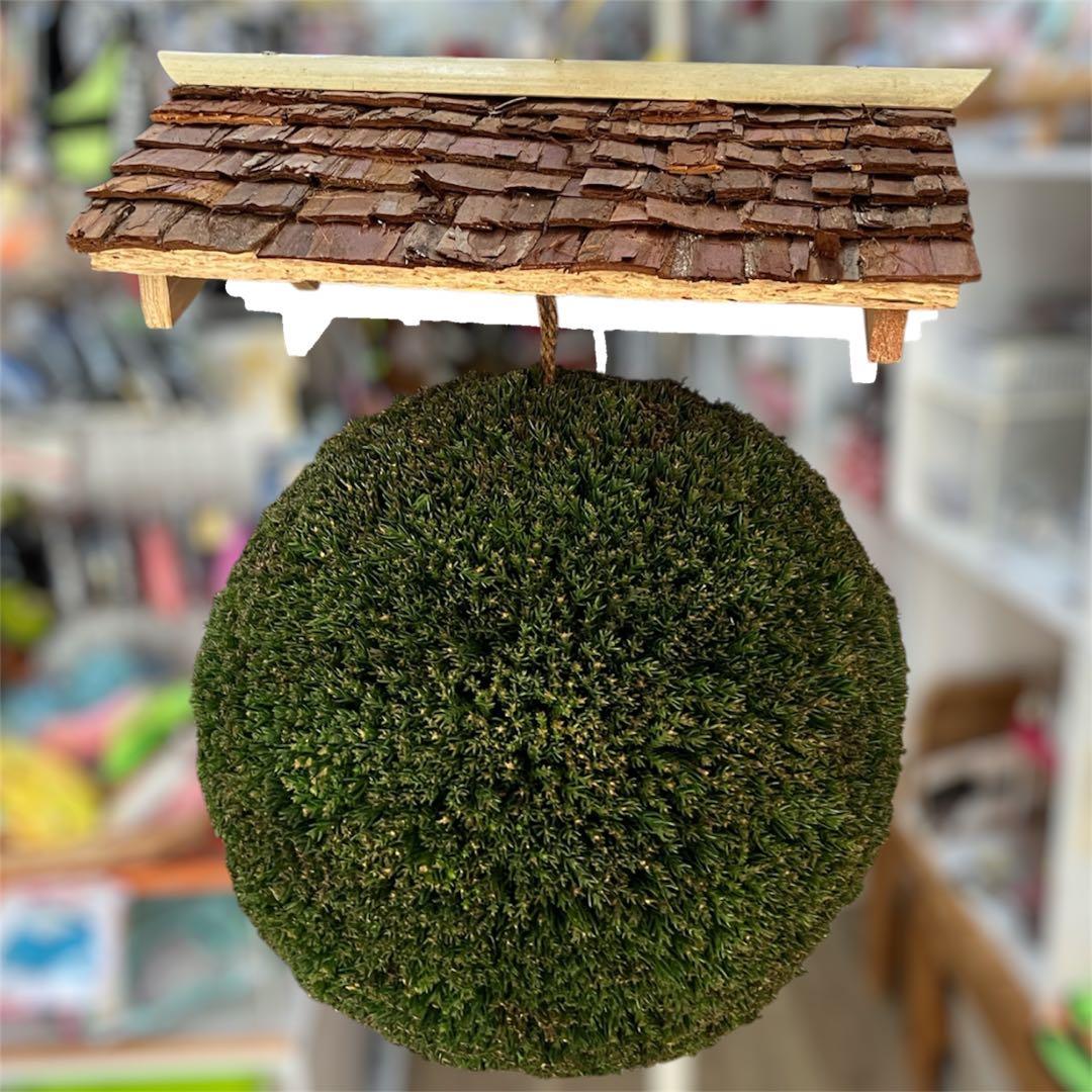 杉玉【屋根付き】⑤ - メルカリ