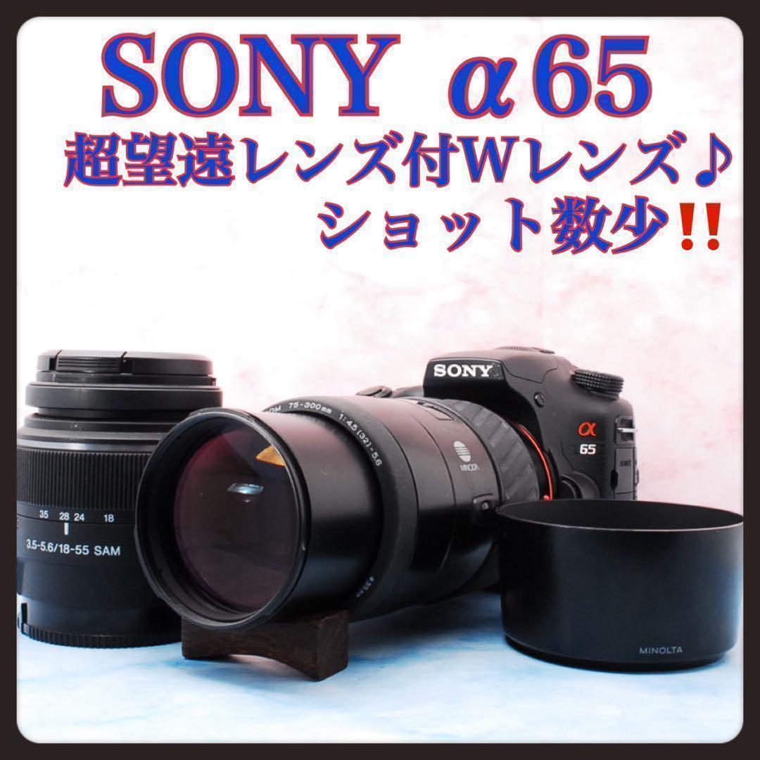 ショット数少✨SONY α65✨Wレンズ✨一眼レフカメラ✨高速連写＆高画質 ✨SONY α65✨ダブルレンズ✨初心者おすすめ✨高速連射✨超高画質✨一眼