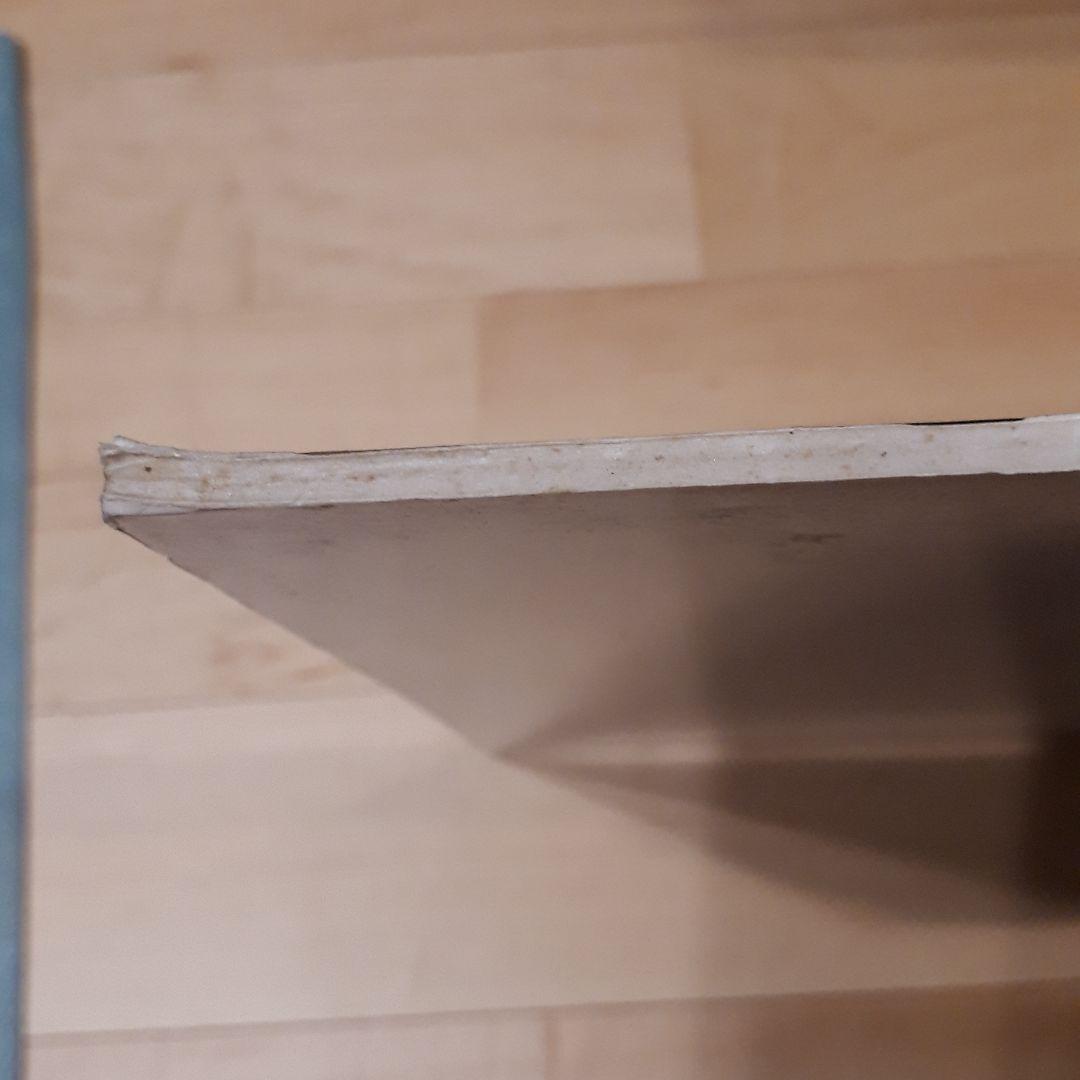 GLAY サバイバル 非売品ポップ グレイ - メルカリ