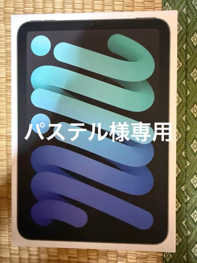 未開封iPad mini A17 Pro[256GB]Wi-Fi スペースグレイ 1カ月使用してみた「iPad mini (A17 Pro) 」、今後のApple