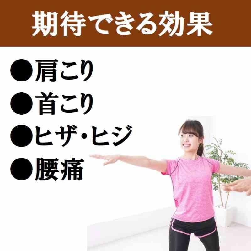 テラへルツ転写済 ゲルマニウム粒 300個 肩こり プチシルマ エレキバン