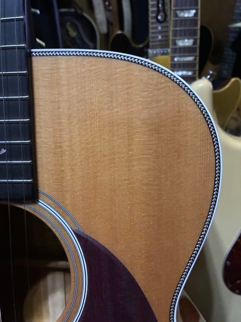 ヘッドウェイ　HF -SAKURA’24S/STD