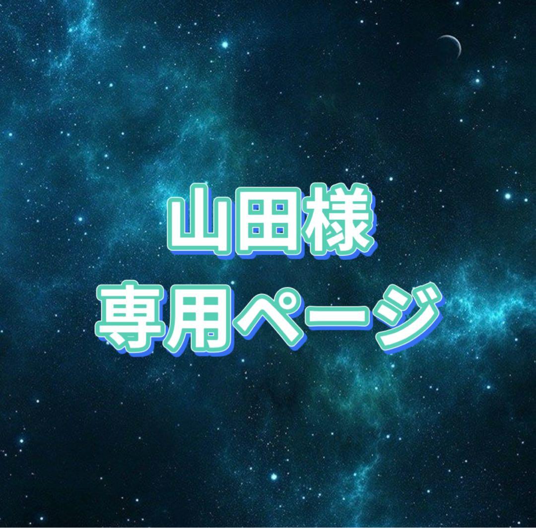 山田様 お見積もりページ - メルカリ