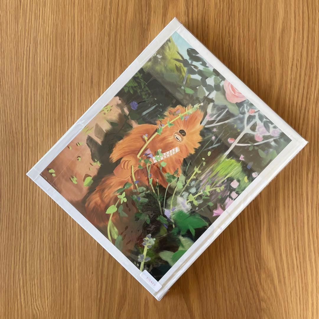 新品未使用 THE SCENE by Ulala Imai サイン入り 今井麗 THE SCENE / 今井麗 Ulala Imai （Signed /サイン入） - books used