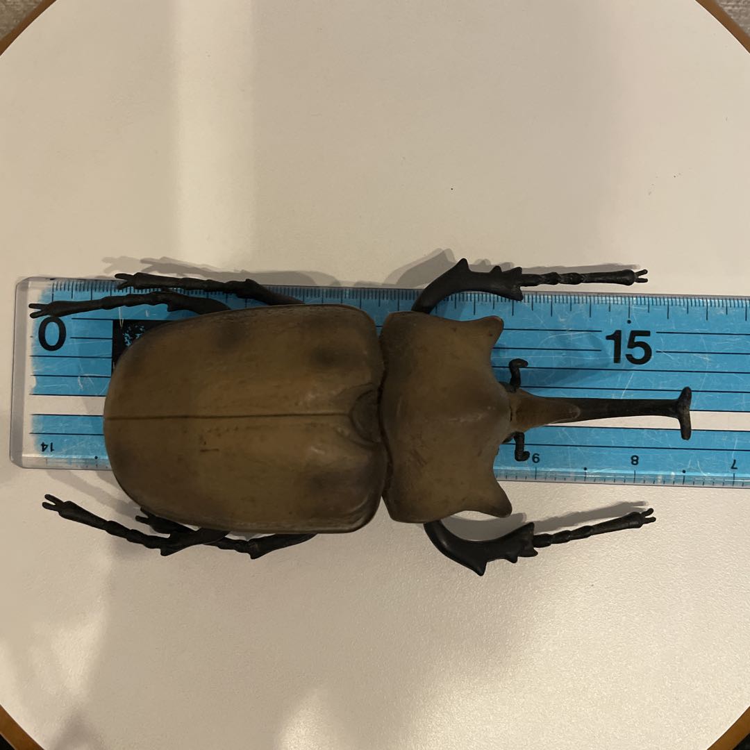 エレファスゾウカブト‪ フィギュア 昆虫標本 約16cm、105g - メルカリ‬