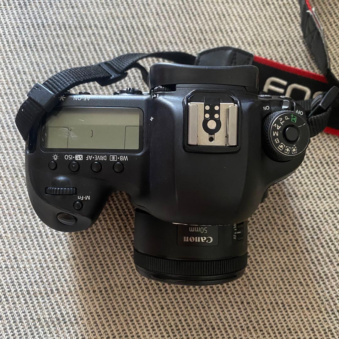 松山専用」Canon EOS 5D Mark IV + 50mmレンズ