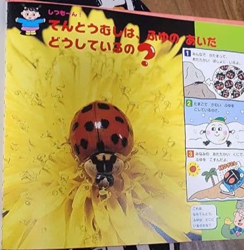 ことばのえほん ・なぜなぜ？クイズ絵本・小学館ふしぎの図鑑・小学館