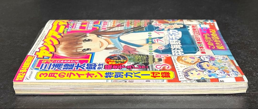 ●ヤングアニマル 2008年 No.23 ●3月のライオン 特別カバー 付録付き