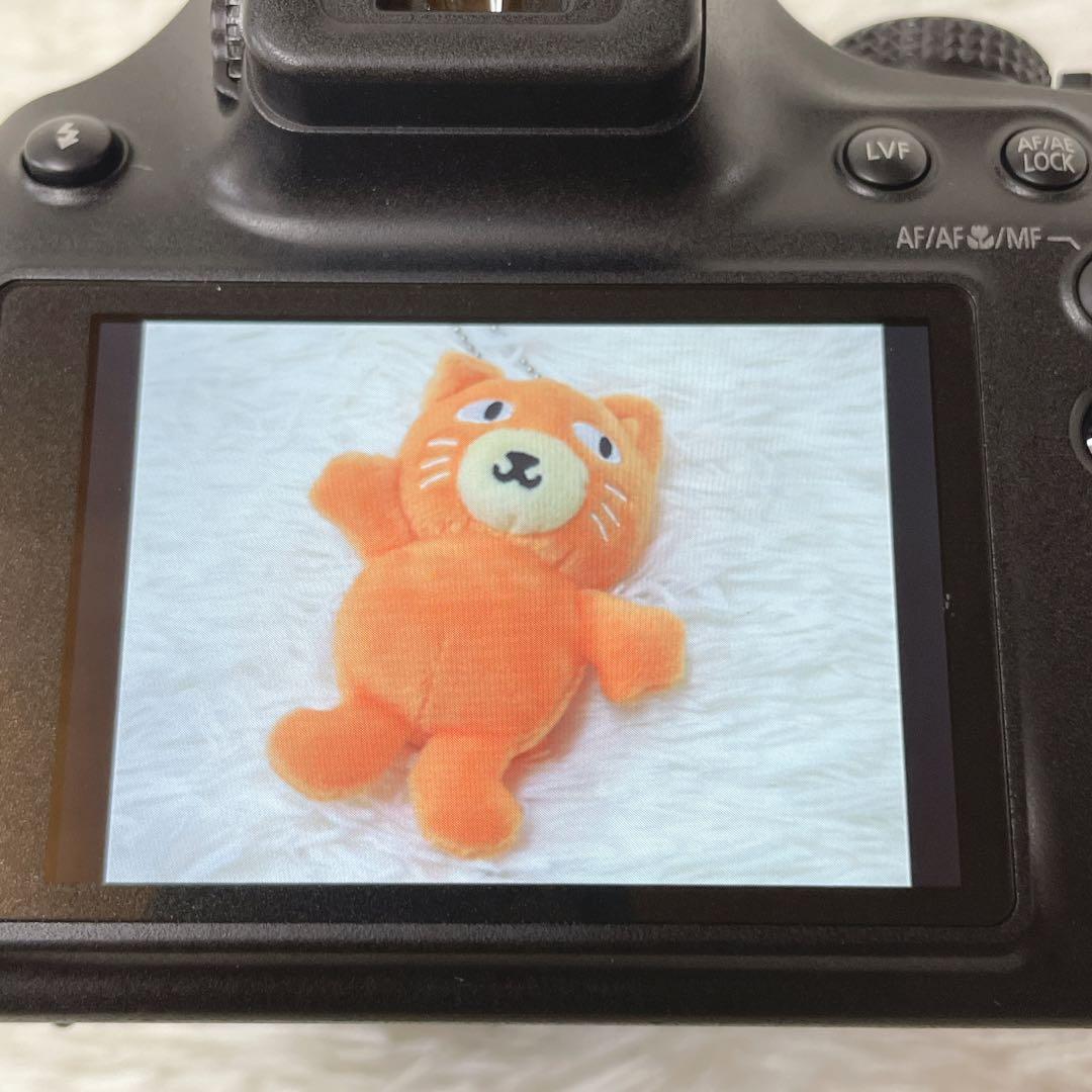 《極美品》Panasonic LUMIX DMC-FZ70 付属品完備