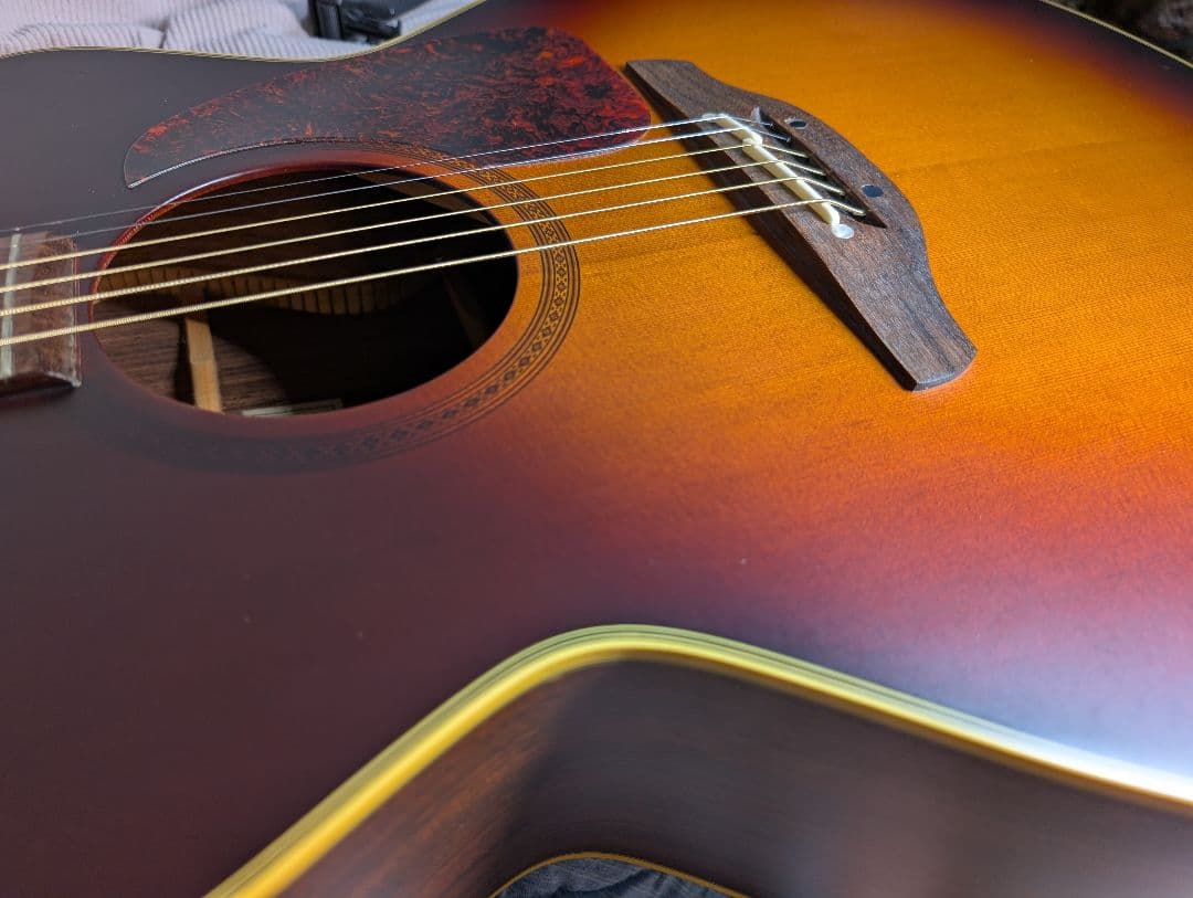 Takamine タカミネ ギター NPT-012 BS 美品 - メルカリ