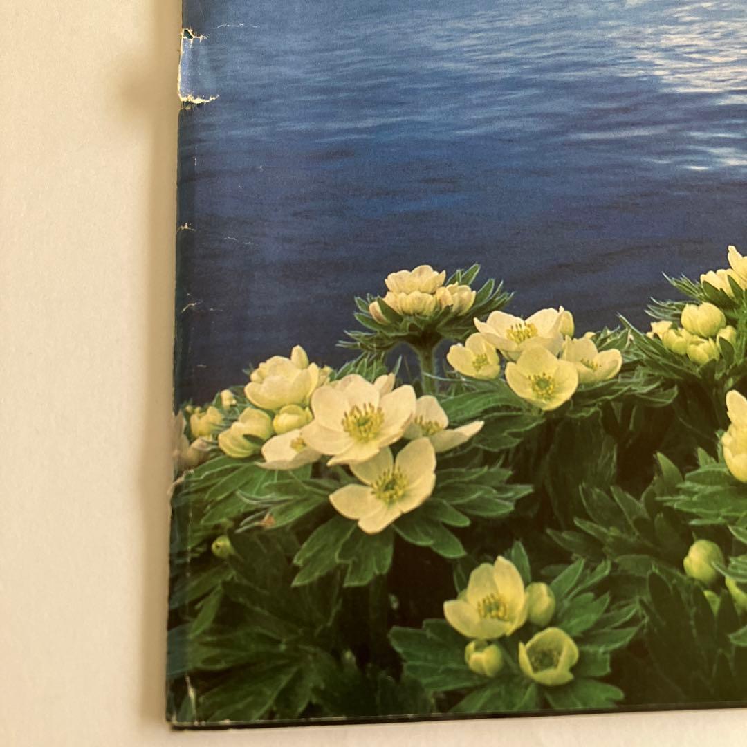 パタゴニア patagonia 2000年EARLY SPRING カタログ - メルカリ