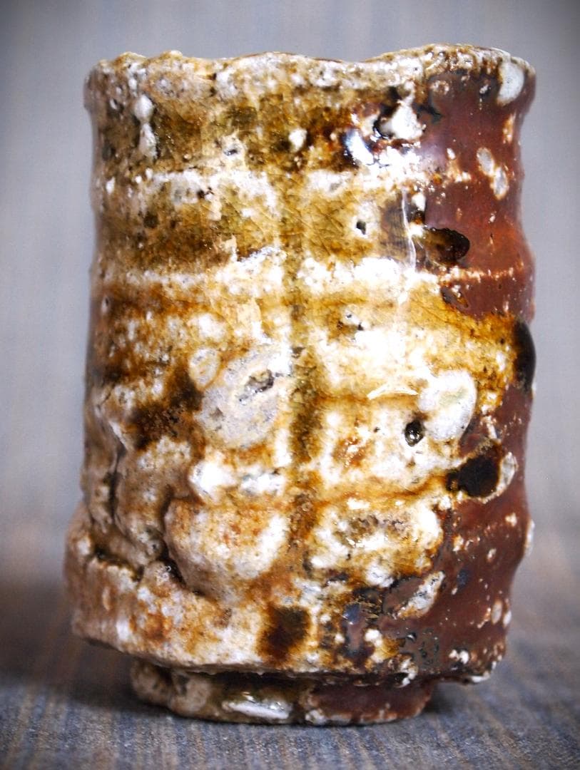 新作★迫能弘【師：辻清明】★赤信楽《窯変》酒器★ビードロ