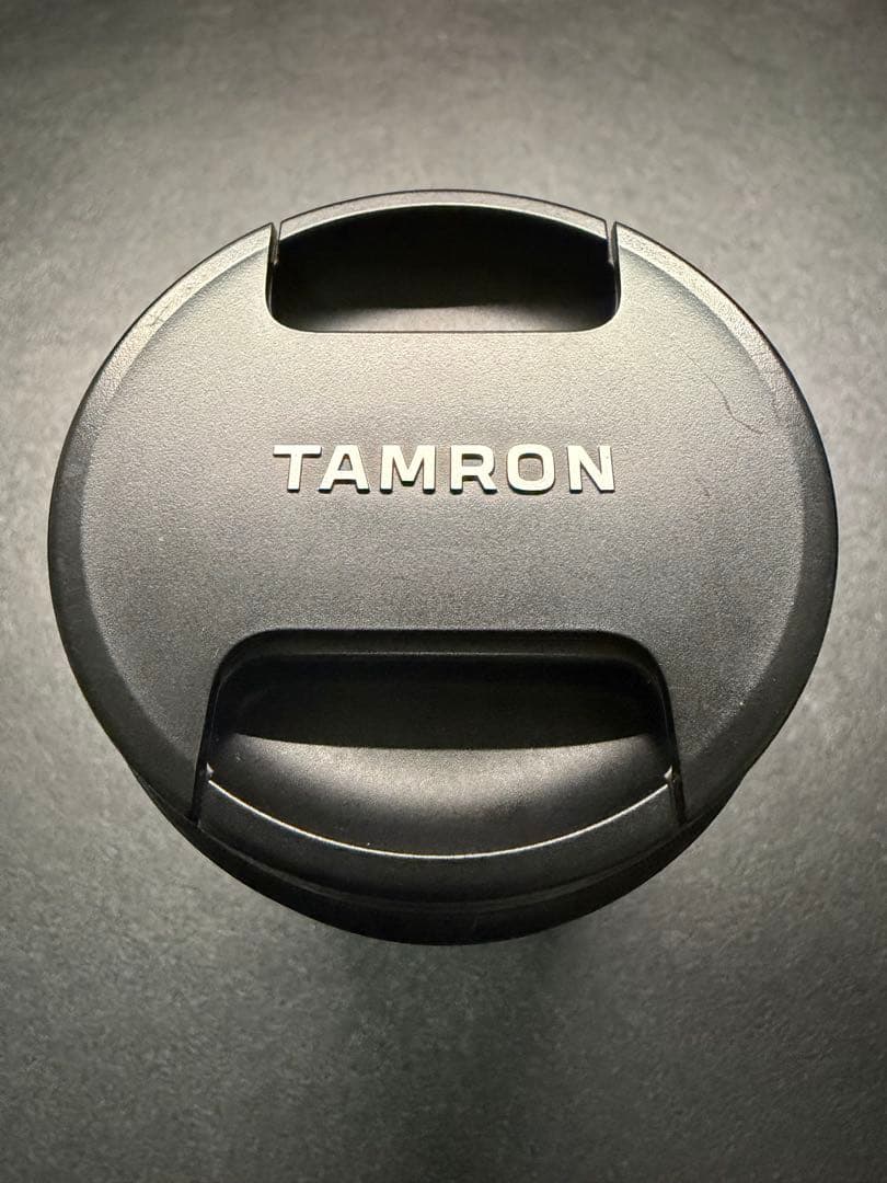 SONY用　TAMRON 28-200mm F/2.8-5.6 ZXⅡ