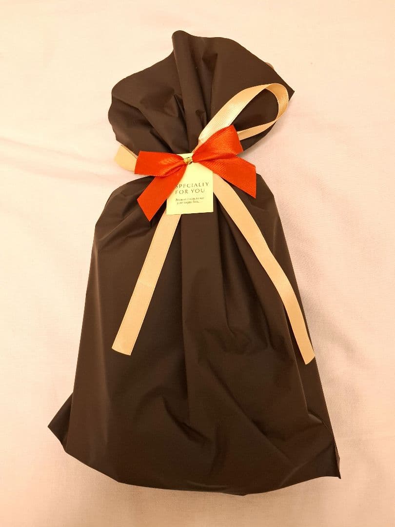 《ギフト包装》【機内販売限定】ボールアンドチェーン JAL オリジナル バッグ