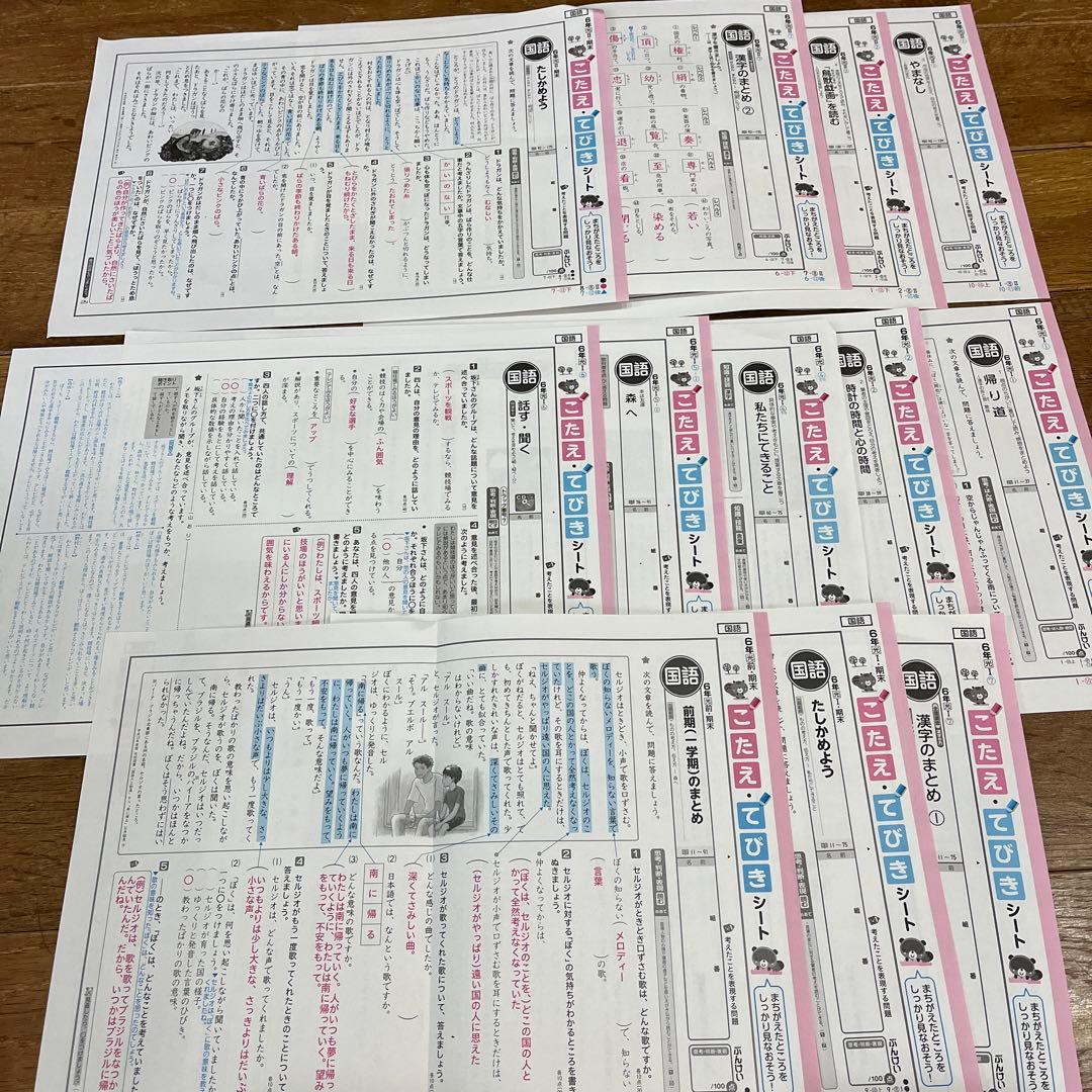 小学6年生 国語 カラーテストの解答 こたえ てびき 解説 解答 ぶんけい