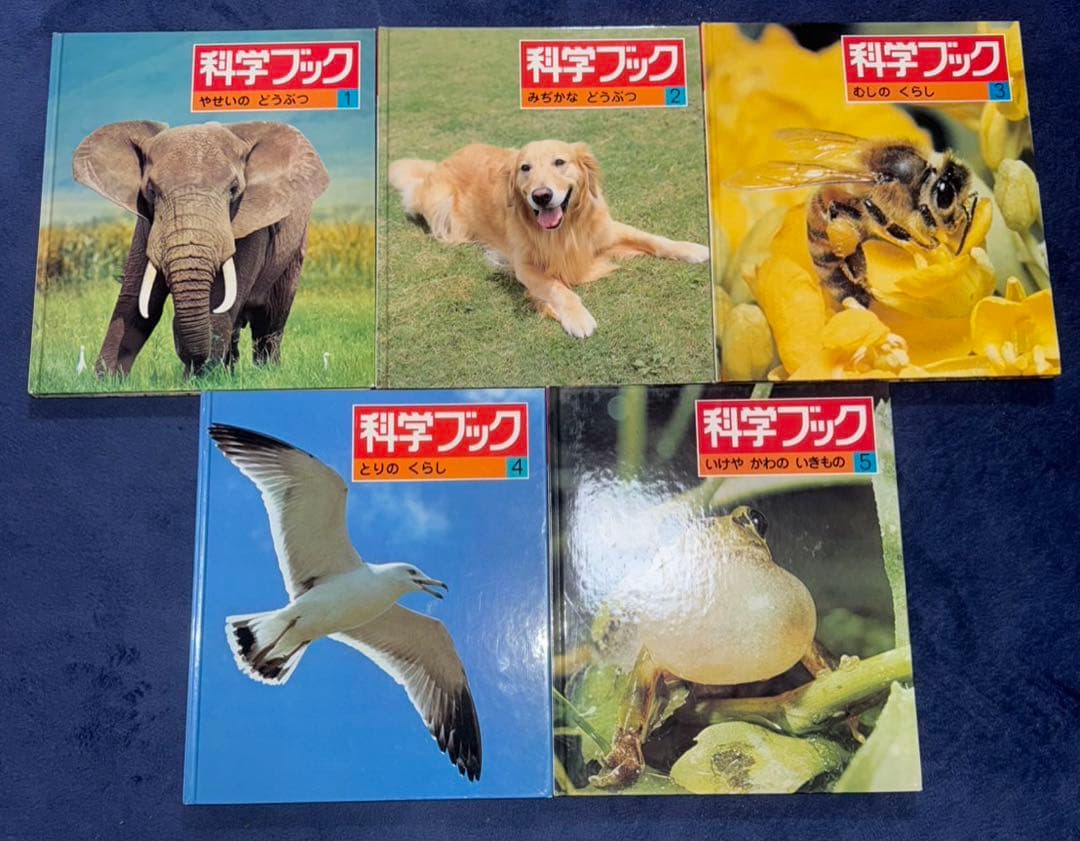 科学ブック 世界文化社 全20巻セット - メルカリ