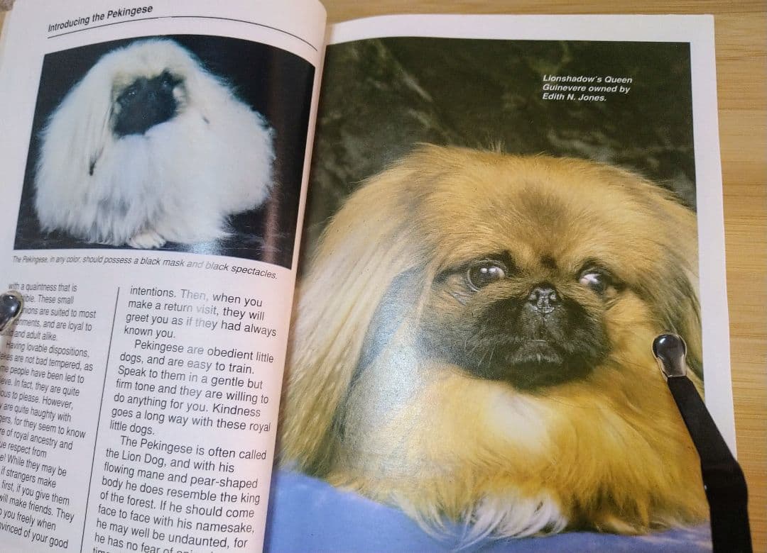 ペキニーズ書籍4冊セット 本 洋書 写真 pekingese PEKINGESE - メルカリ