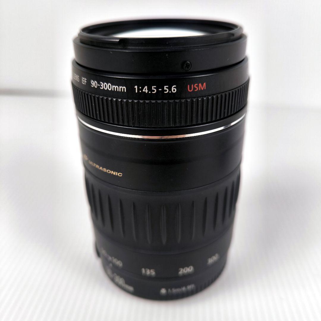 Canon EF 90-300mm F/4.5-5.6 望遠レンズ