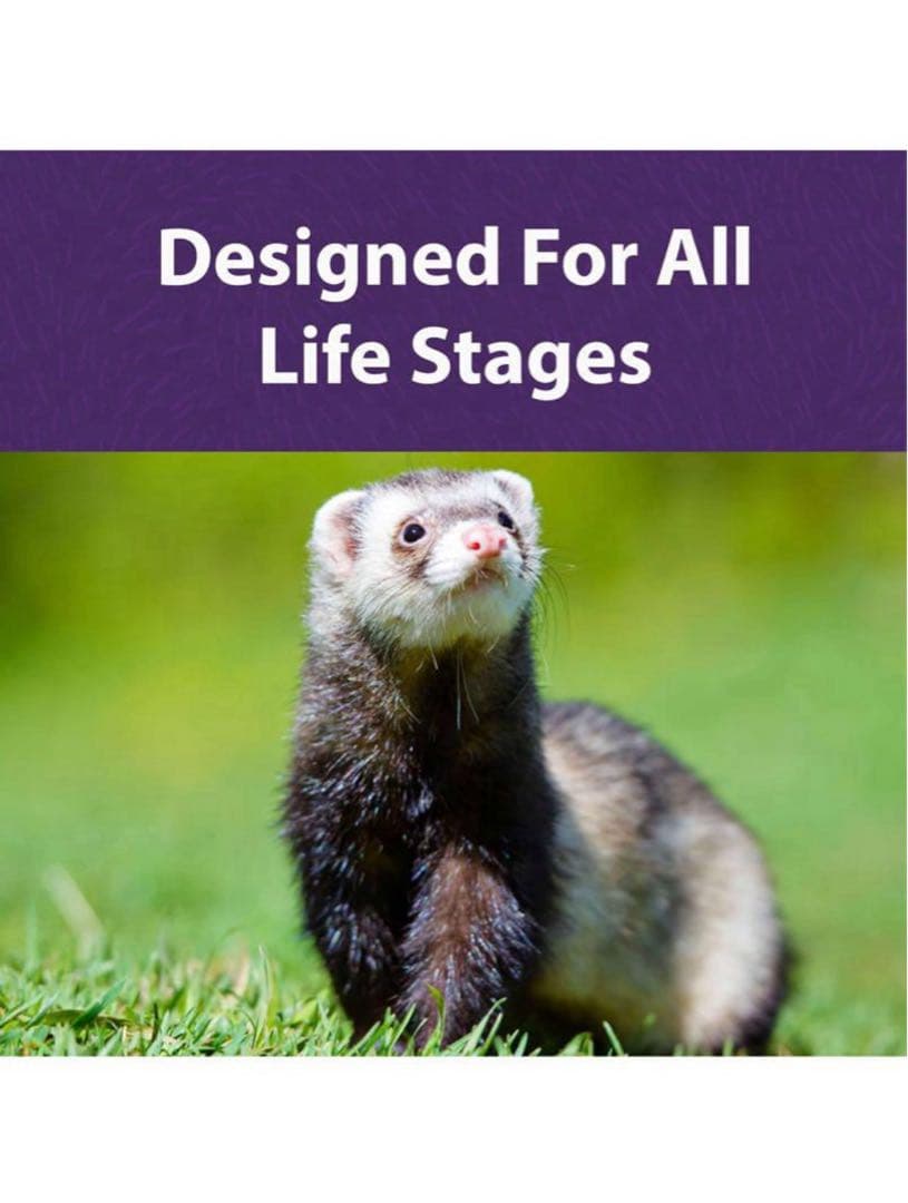 Mazuri フェレットダイエット 11.34Kg