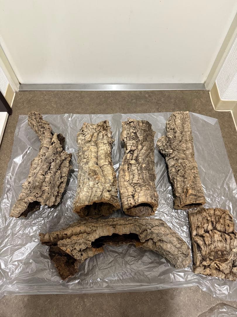 筒コルク6個セット OTG トラベルマグ 350ml バンブーグリーン | On The Go ｜ル・クルーゼ