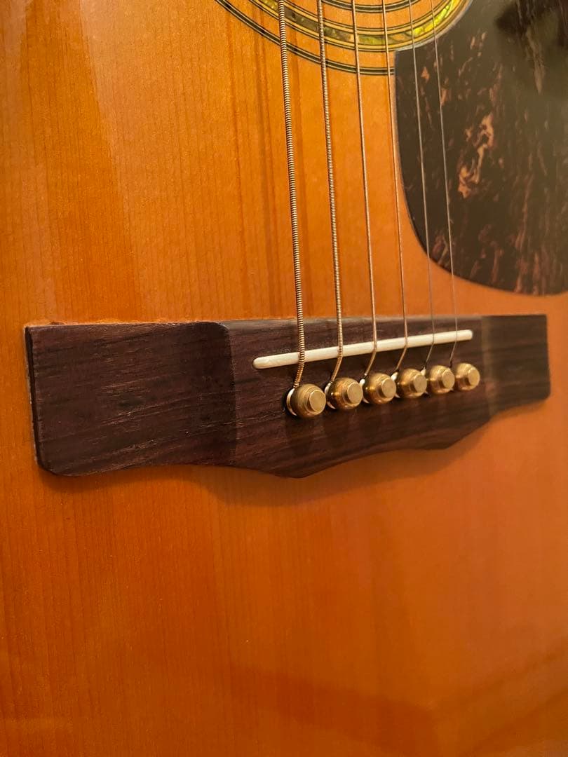 MJ様専用 Morris M601 ハカランダ 美品 引き取り限定