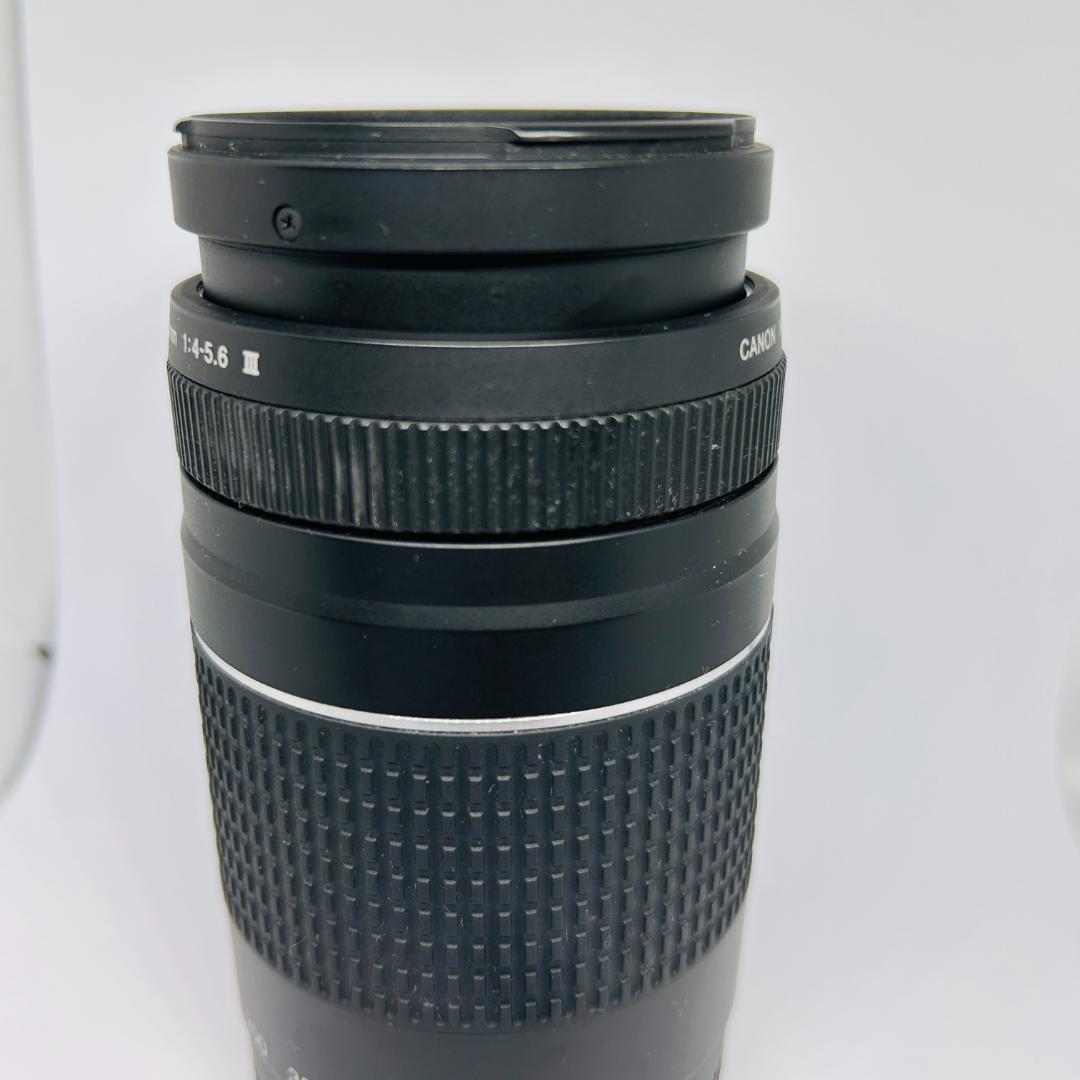 Canon EF 75-300mm f/4-5.6 III 望遠ズームレンズ