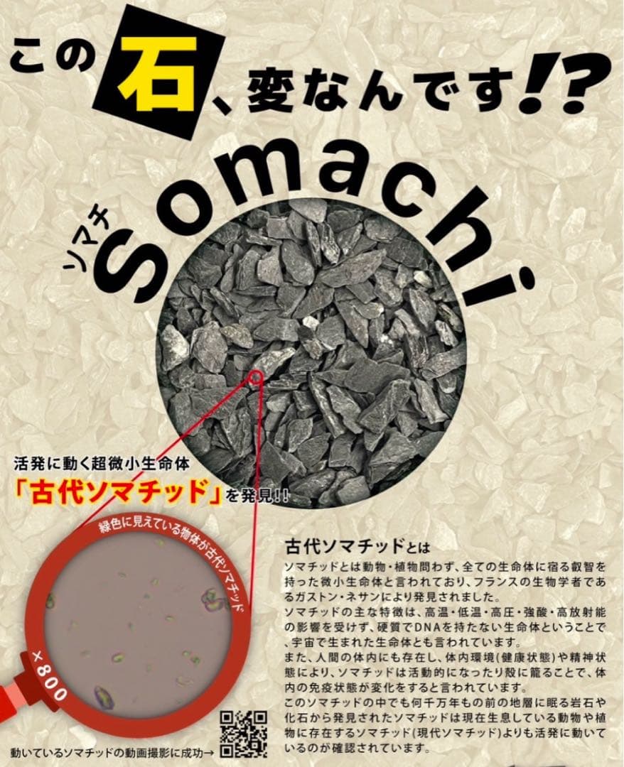 古代ソマチッド(砂利タイプ) 100g×1袋 - メルカリ